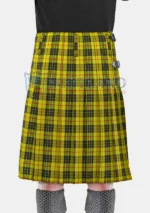 Macleod of Lewis tartan Kilt back - Copy
