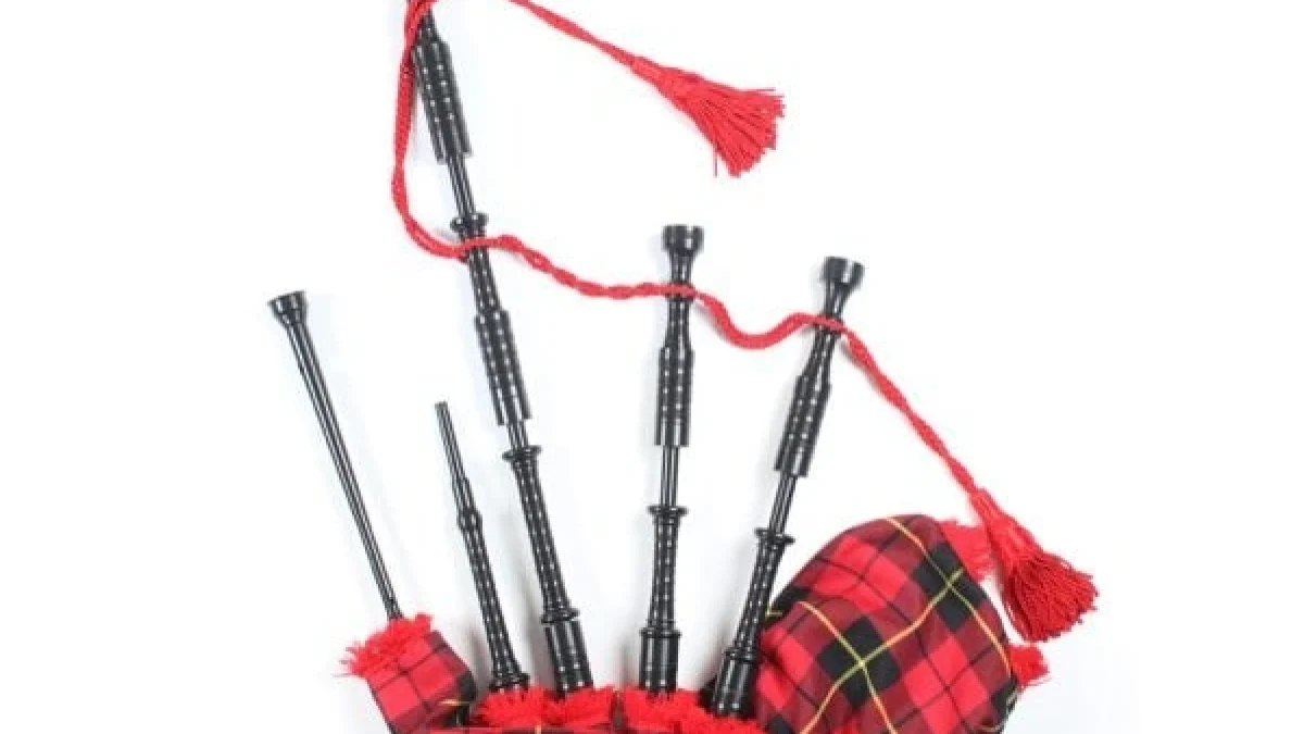 Cornemuse écossaise Professionnelle McWilliams - Ensemble Complet Avec Sac, Tartan Royal Stewart, Pour Débutants Et Avancés