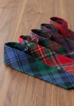 Tartans Long Tie