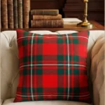 MacGregor Tartan Cushion Front View