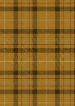 Hand Made Exploration of Titan tartan Fabric