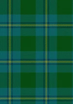 Hand Made Irving of Bonshaw Tartan Fabric