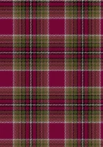 Gardner, Lynne Michele Tartan Fabric
