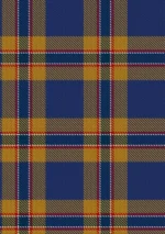 McCann Tartan Fabric