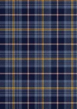 Patrick Tartan Fabric