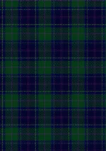 Beeg Tartan Fabric