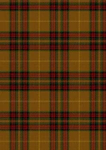 Finnegan Tartan Fabric