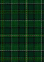 Hanly Tartan Kilt - Image 5