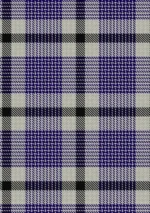 Hanna Tartan Kilt - Image 5