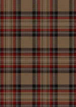 Islay Tartan Fabric