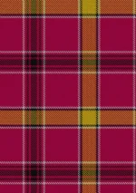 O_Meehan Tartan Fabric