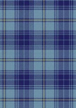 Taynor Tartan Fabric