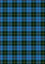 Town of Kirkland Lake Tartan Kilt - Image 5