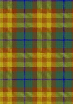 Wild Mustard Dreams Tartan Kilt - Image 5