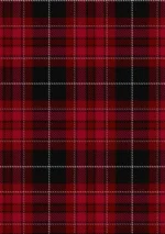 Pride of Wales Tartan Fabric