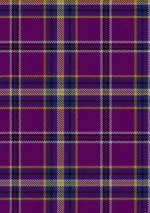 Regan Tartan Fabric